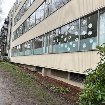 Window Film Type: Dusted Crystal